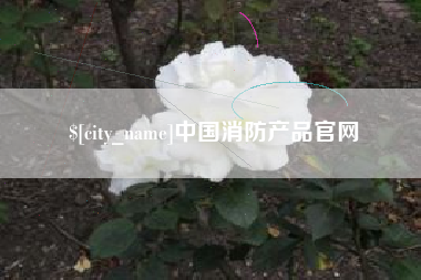 孝感中国消防产品官网