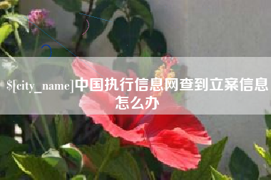 孝感中国执行信息网查到立案信息怎么办