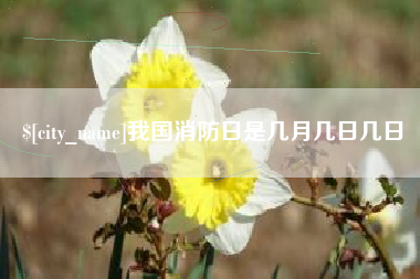 孝感我国消防日是几月几日几日