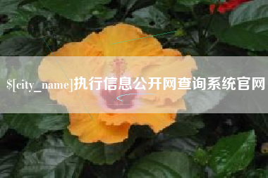 孝感执行信息公开网查询系统官网