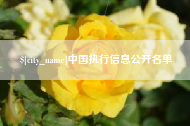 孝感中国执行信息公开名单