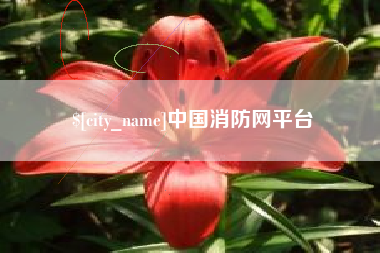 孝感中国消防网平台