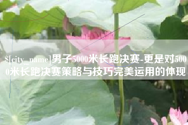 孝感男子5000米长跑决赛-更是对5000米长跑决赛策略与技巧完美运用的体现