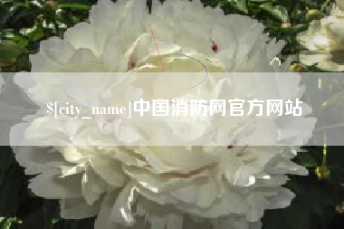 孝感中国消防网官方网站