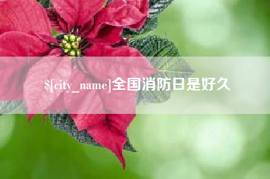 孝感全国消防日是好久