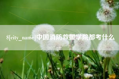 孝感中国消防救援学院都考什么