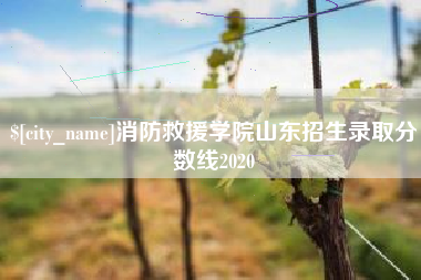 孝感消防救援学院山东招生录取分数线2020