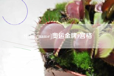 孝感奥运金牌9宫格