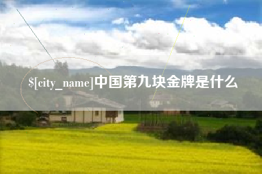 孝感中国第九块金牌是什么