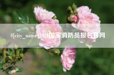 孝感2021国家消防员报名官网