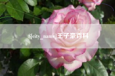 孝感王子豪百科