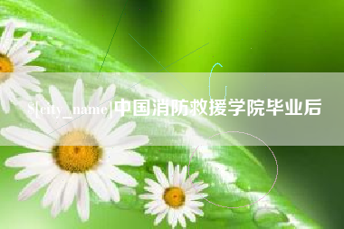 孝感中国消防救援学院毕业后