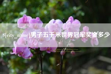 孝感男子五千米世界冠军奖金多少