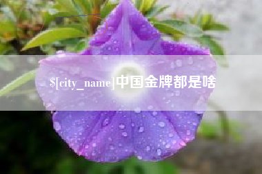 孝感中国金牌都是啥