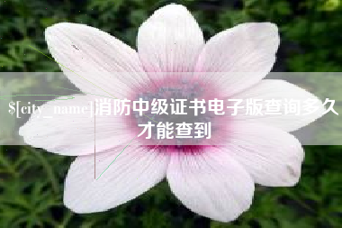 孝感消防中级证书电子版查询多久才能查到