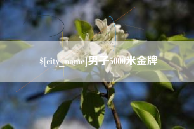 孝感男子5000米金牌
