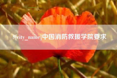 孝感中国消防救援学院要求