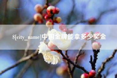 孝感中国金牌能拿多少奖金