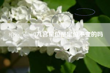 孝感九宫星位是定位不变的吗