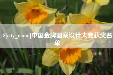 孝感中国金牌图案设计大赛获奖名单