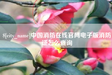 孝感中国消防在线官网电子版消防证怎么查询