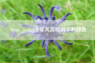 孝感今年九宫格的不利颜色
