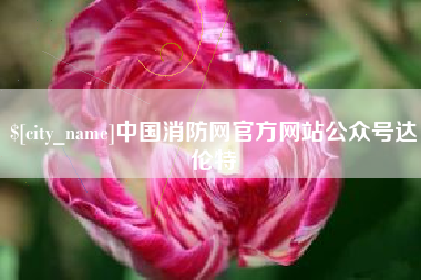 孝感中国消防网官方网站公众号达伦特