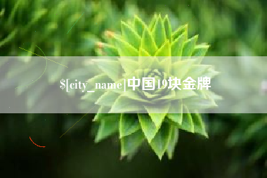 孝感中国19块金牌