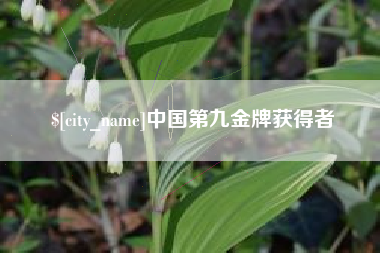 孝感中国第九金牌获得者