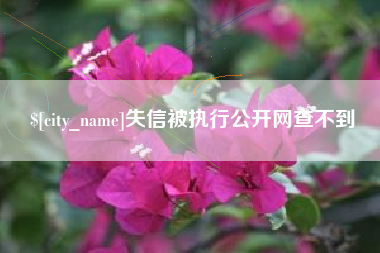 孝感失信被执行公开网查不到