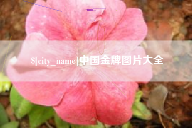 孝感中国金牌图片大全
