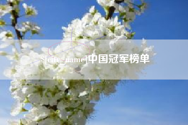 孝感中国冠军榜单