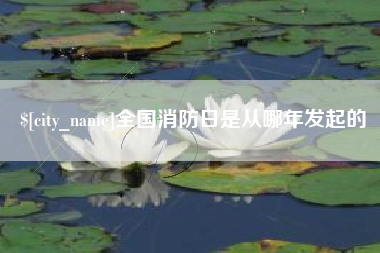 孝感全国消防日是从哪年发起的