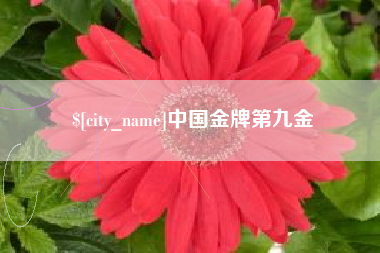 孝感中国金牌第九金
