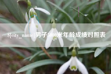 孝感男子5000米年龄成绩对照表
