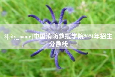 孝感中国消防救援学院2024年招生分数线