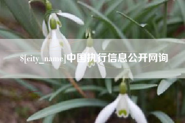 孝感中国执行信息公开网询