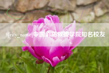 孝感中国消防救援学院知名校友