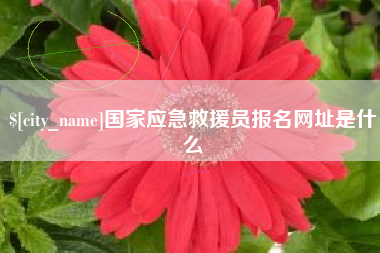 孝感国家应急救援员报名网址是什么
