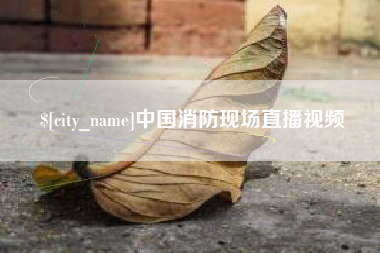 孝感中国消防现场直播视频