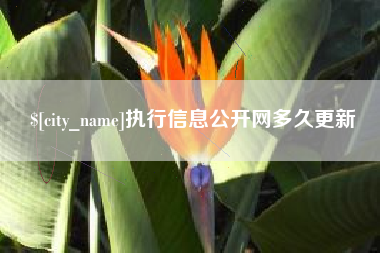 孝感执行信息公开网多久更新