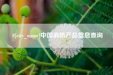 孝感中国消防产品信息查询