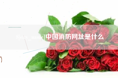 孝感中国消防网址是什么
