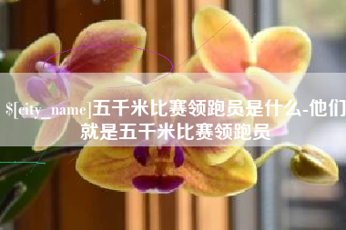 孝感五千米比赛领跑员是什么-他们就是五千米比赛领跑员