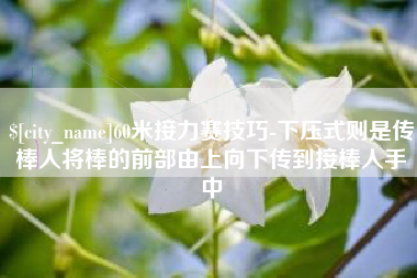 孝感60米接力赛技巧-下压式则是传棒人将棒的前部由上向下传到接棒人手中