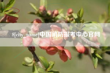 孝感中国消防报考中心官网