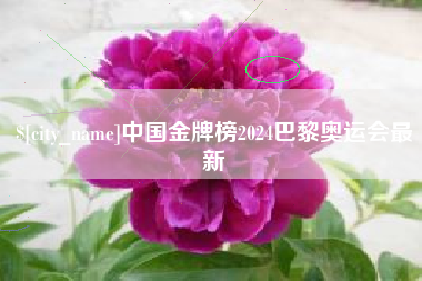 孝感中国金牌榜2024巴黎奥运会最新