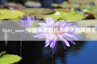 孝感中国金牌图片大全大图高清无水印
