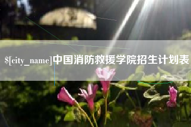孝感中国消防救援学院招生计划表