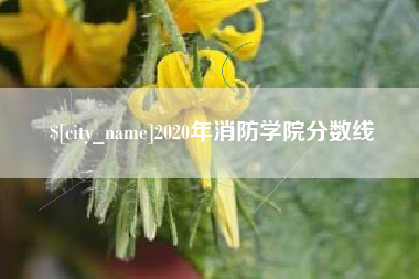 孝感2020年消防学院分数线